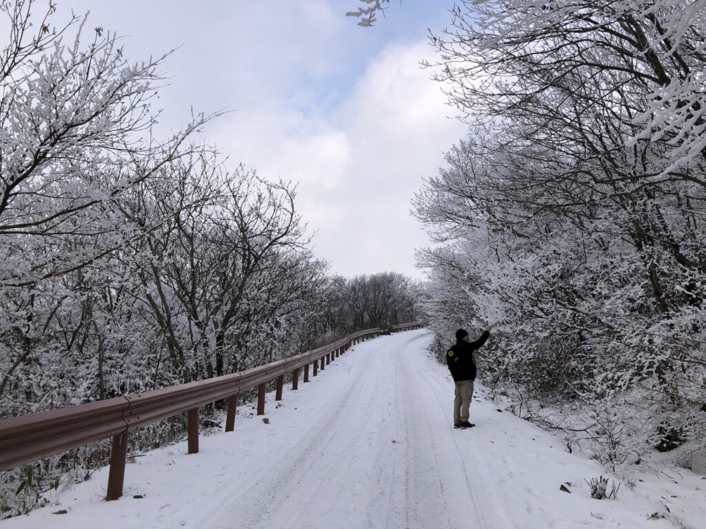 Justin in quiet snowy mudeungsan