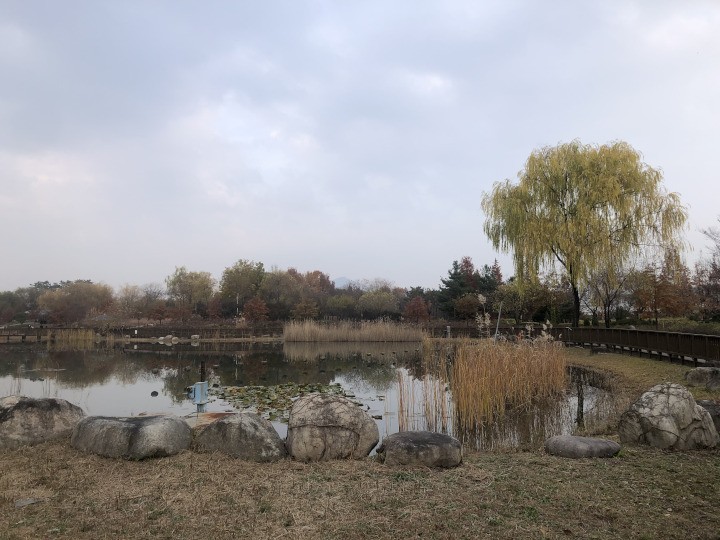 Daejeon Hanbat Arboretum